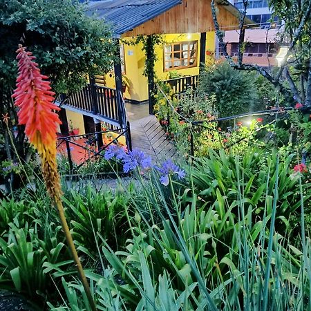 Hotel Brisas Del Nevado Guican ภายนอก รูปภาพ
