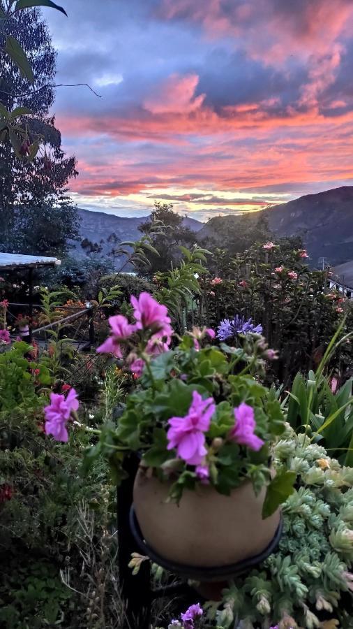 Hotel Brisas Del Nevado Guican ภายนอก รูปภาพ